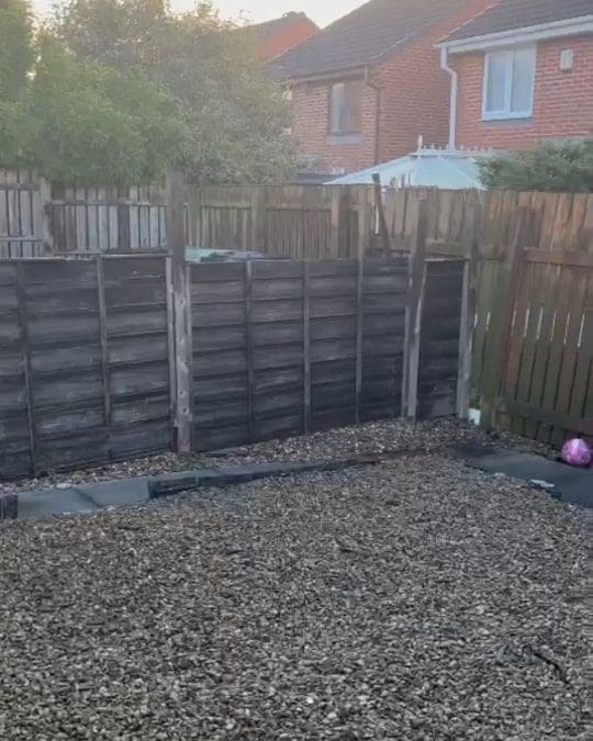 Featheredge panels replaced