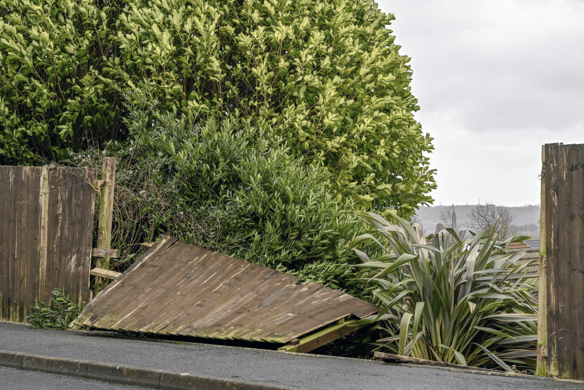 Wind-Resistant Fencing: Best Practices for High Wind Areas