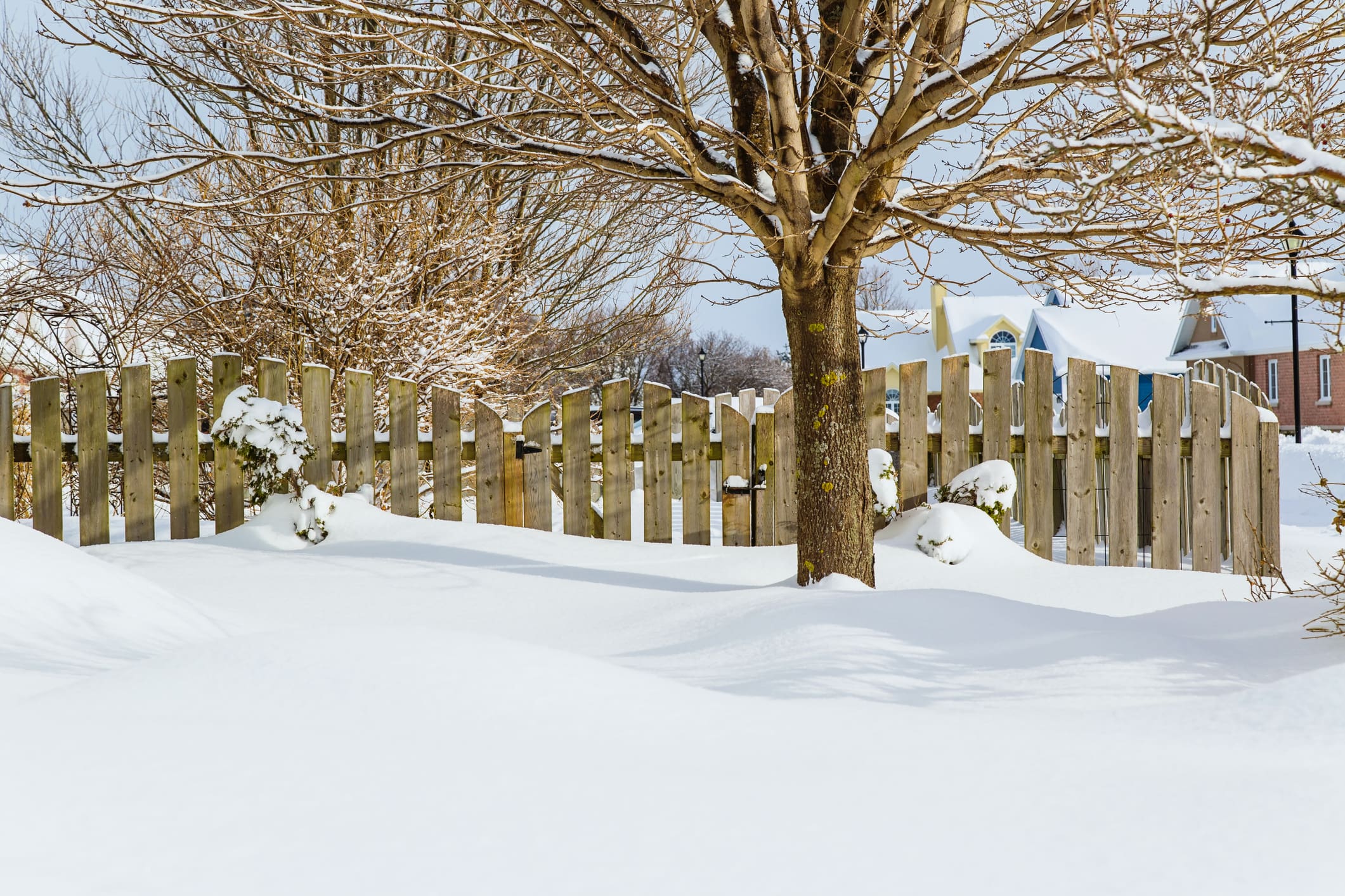 Preparing Your Fence for Extreme Weather: A Practical Guide