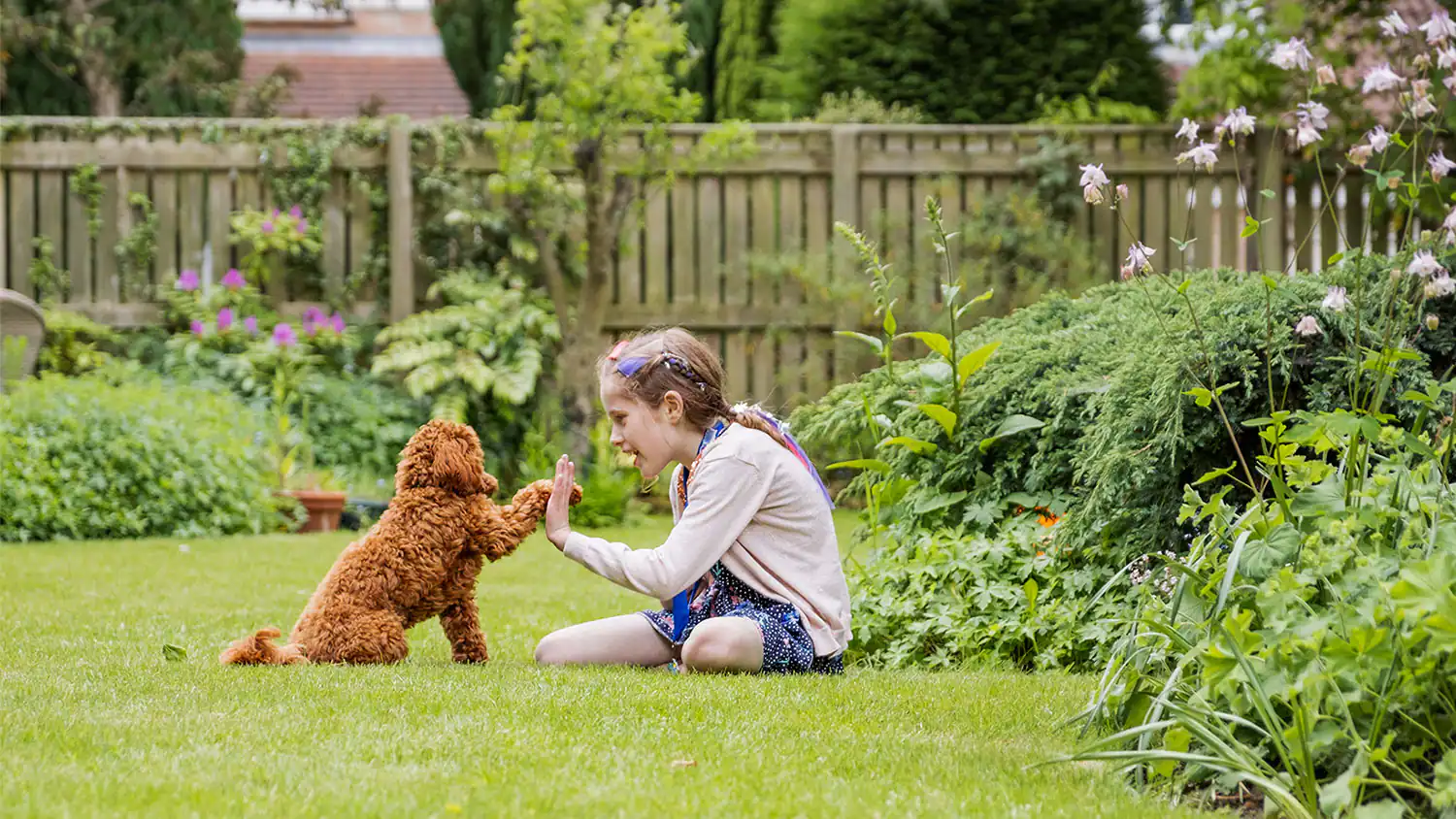 The Best Fencing Options for Pet Owners: Keeping Your Furry Friends Safe
