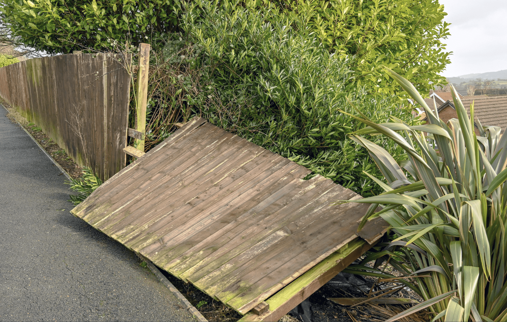 Is Your Fence Ready for Yorkshire’s Wild Weather? Find Out Before It’s Too Late